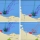 Bewegungsprofile der NGO Schiffe vor & im lybischen Gewässer: Ein deutliches Bild zeigt sich auf